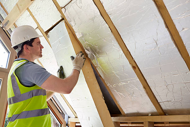 Best Insulation Maintenance and Repair in Channelview, TX